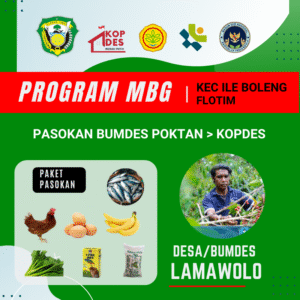 Bumdes Lamawolo - Pasokan MBG (SPPG Ile Boleng)